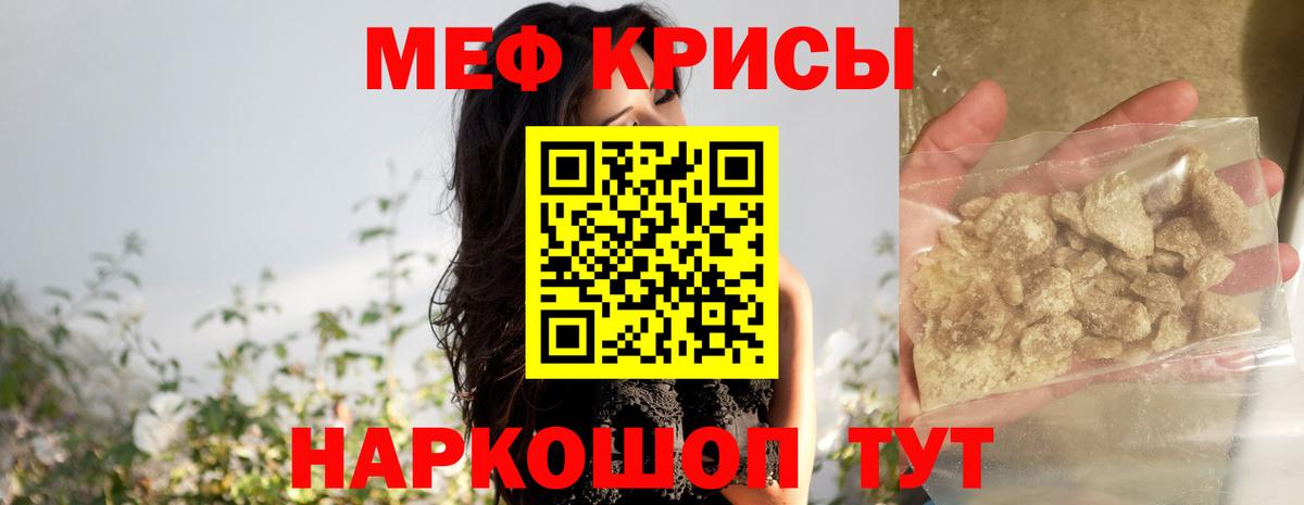 МЕФ Камышин